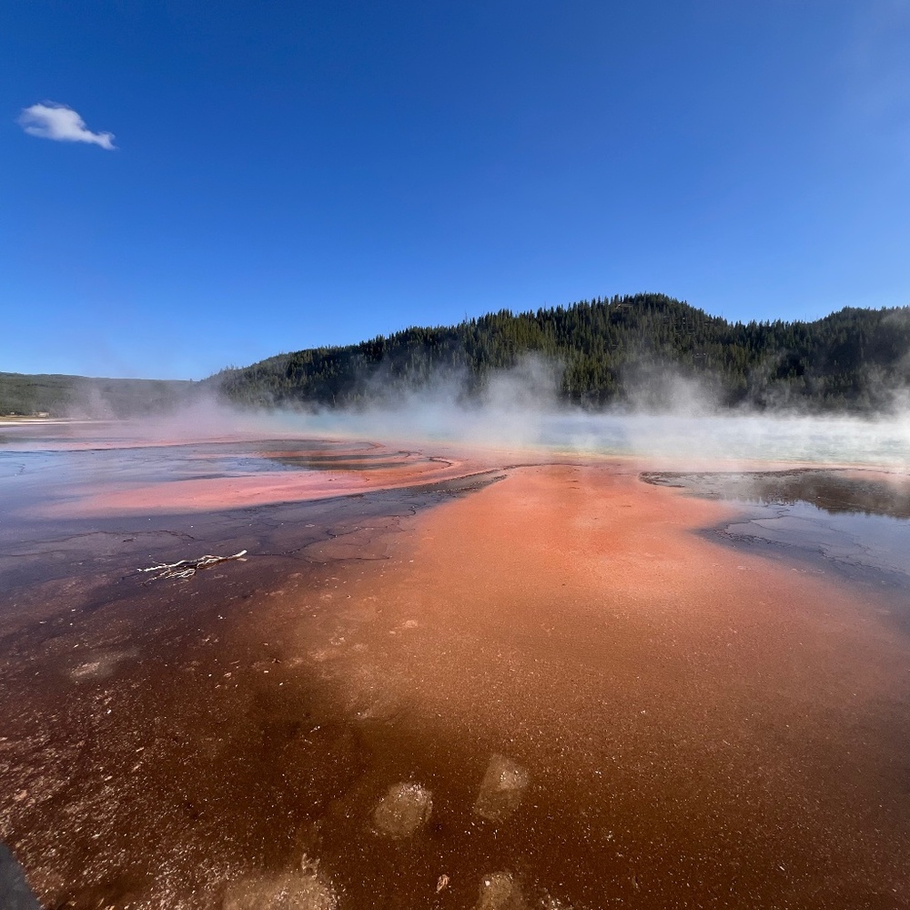 Meet your Posher, Ewa